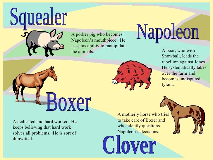 animal-farm-timeline-timetoast-timelines