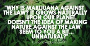 c8aab1f78d3d45bce52eb4f331641177 stoner quotes weed quotes