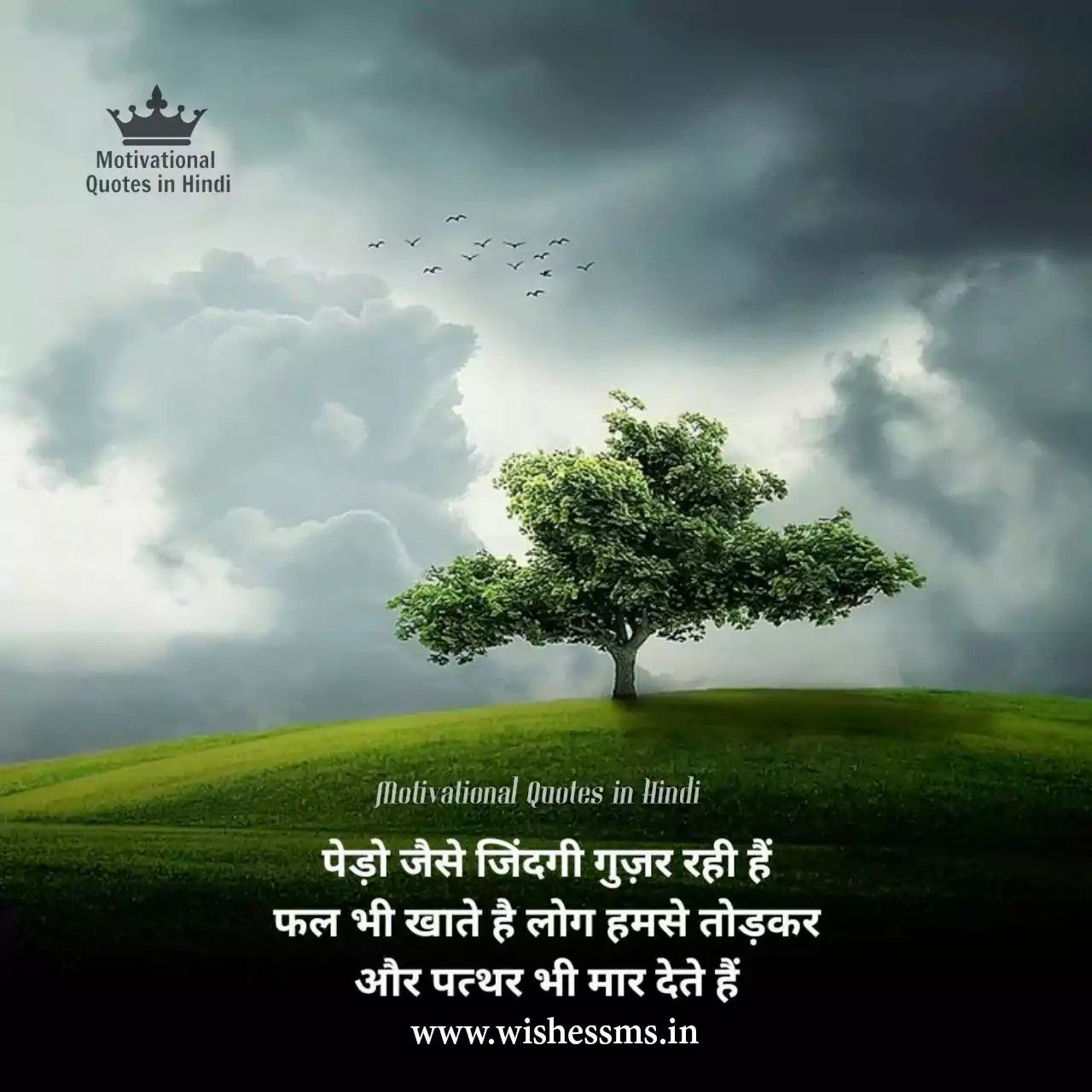 truth-of-life-quotes-in-hindi-font-shortquotes-cc