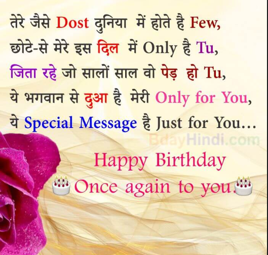 happy-birthday-wishes-for-friend-funny-in-hindi-the-cake-boutique