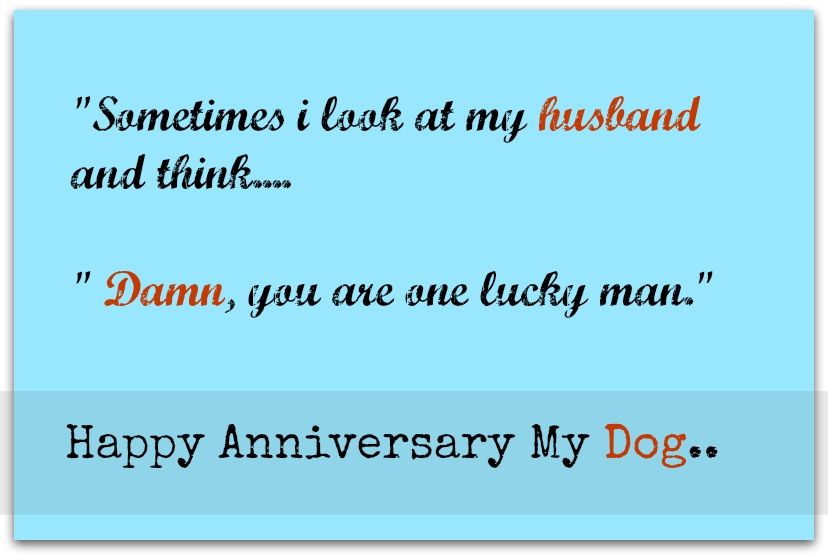 Funny Quotes For Anniversary Couple ShortQuotes cc