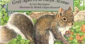 Squirrel Quotes Goodreads